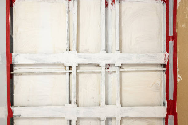 Biohazard Mold Removal in Lakeland, MN