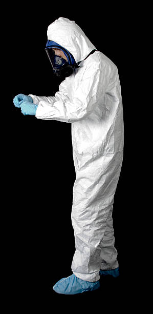 Reliable Lakeland, MN Mold Removal Solutions