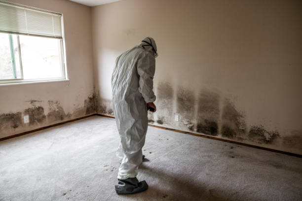 Forensic Mold Investigation in Lakeland, MN